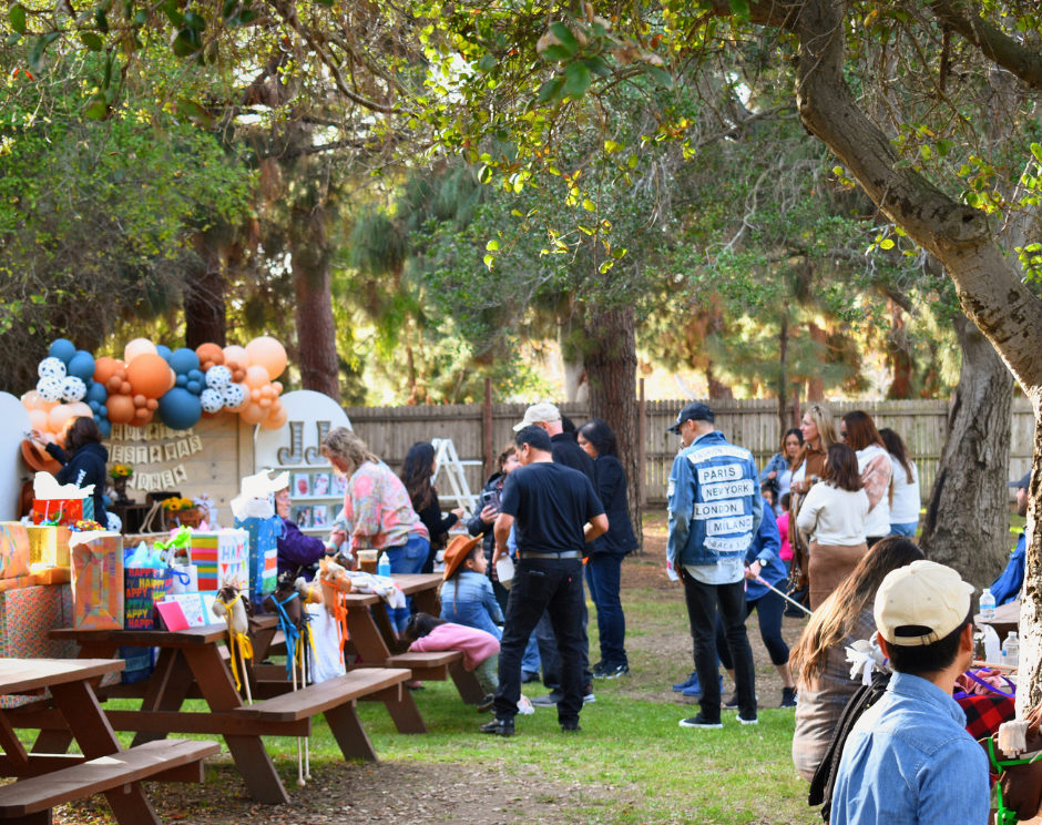 Venue photo 5