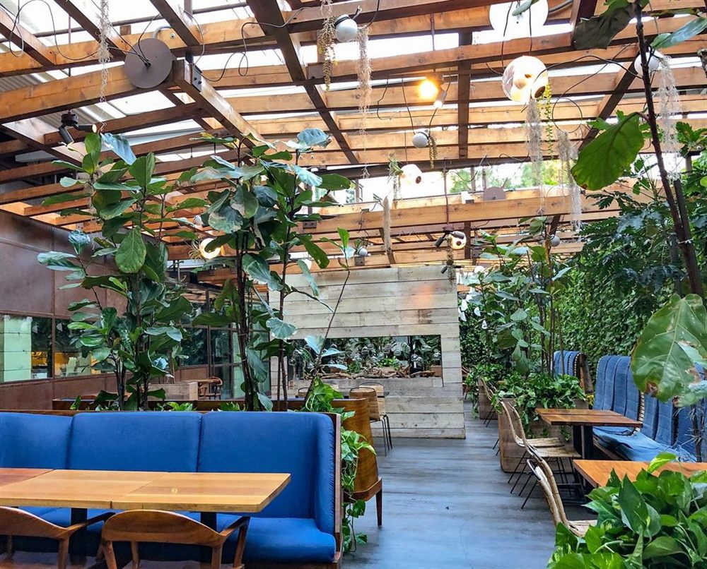 Venue photo 8