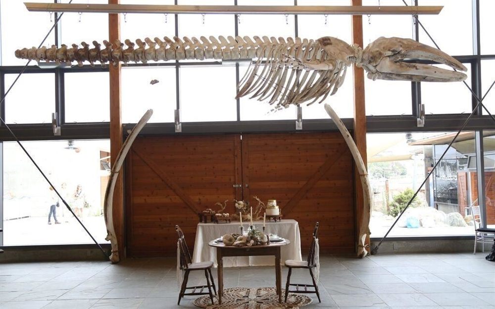 Venue photo 2