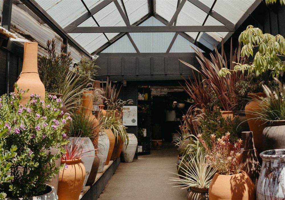 Venue photo 2