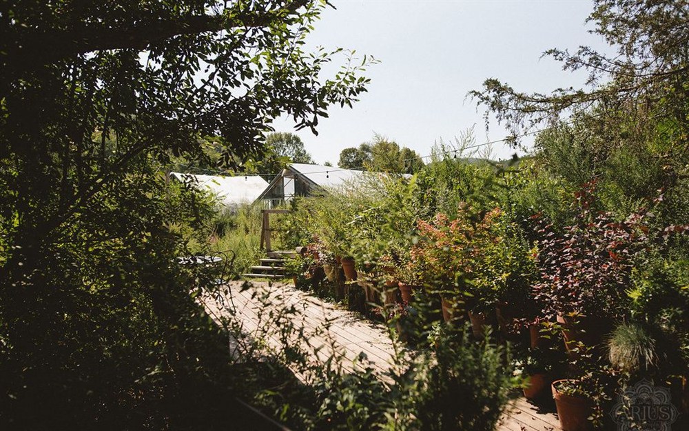 Venue photo 18