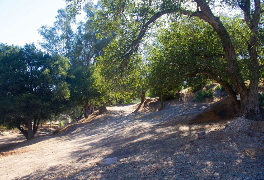 Venue photo 6