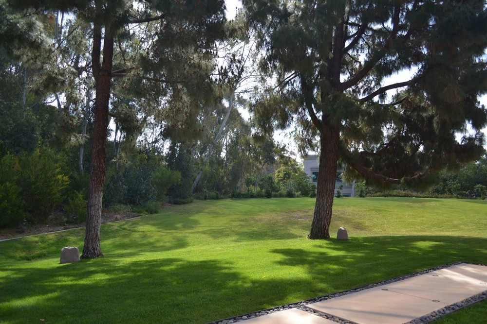 Venue photo 11