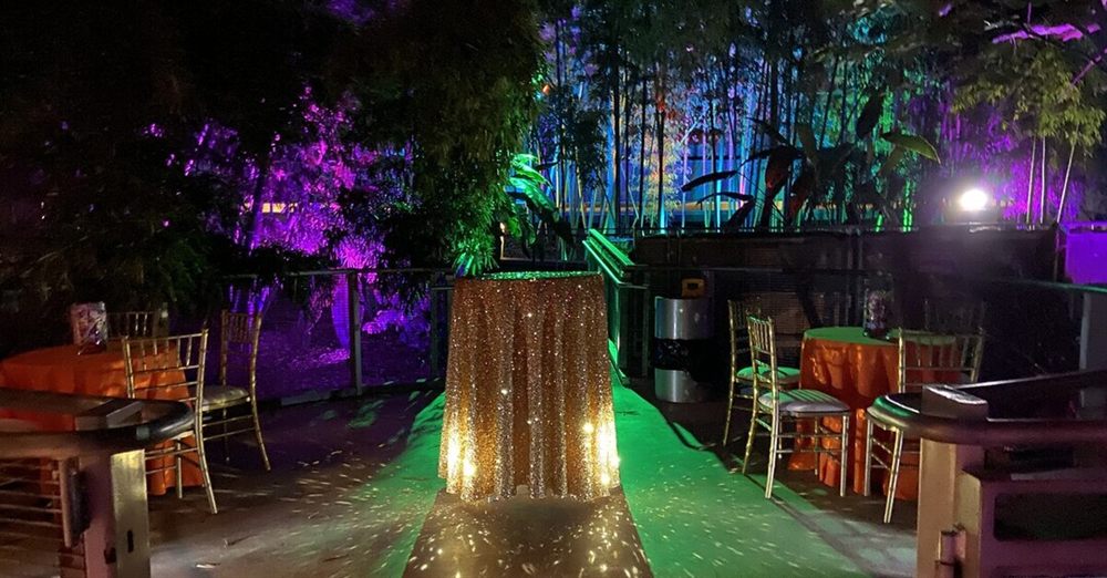 Venue photo 2