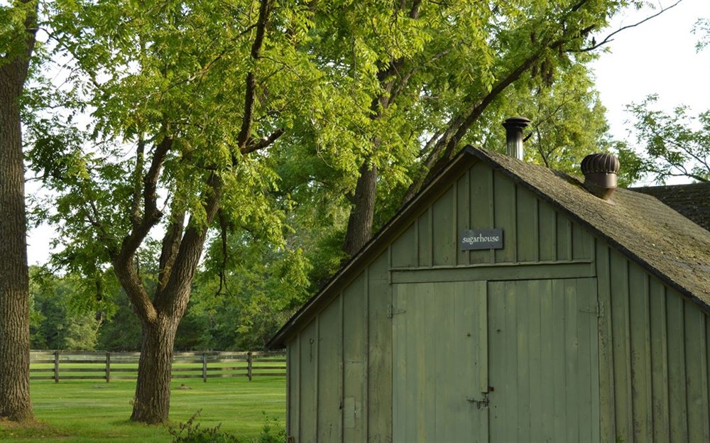 Venue photo 13