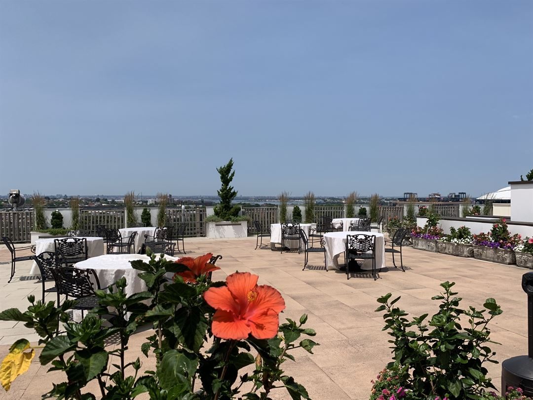 Venue photo 12
