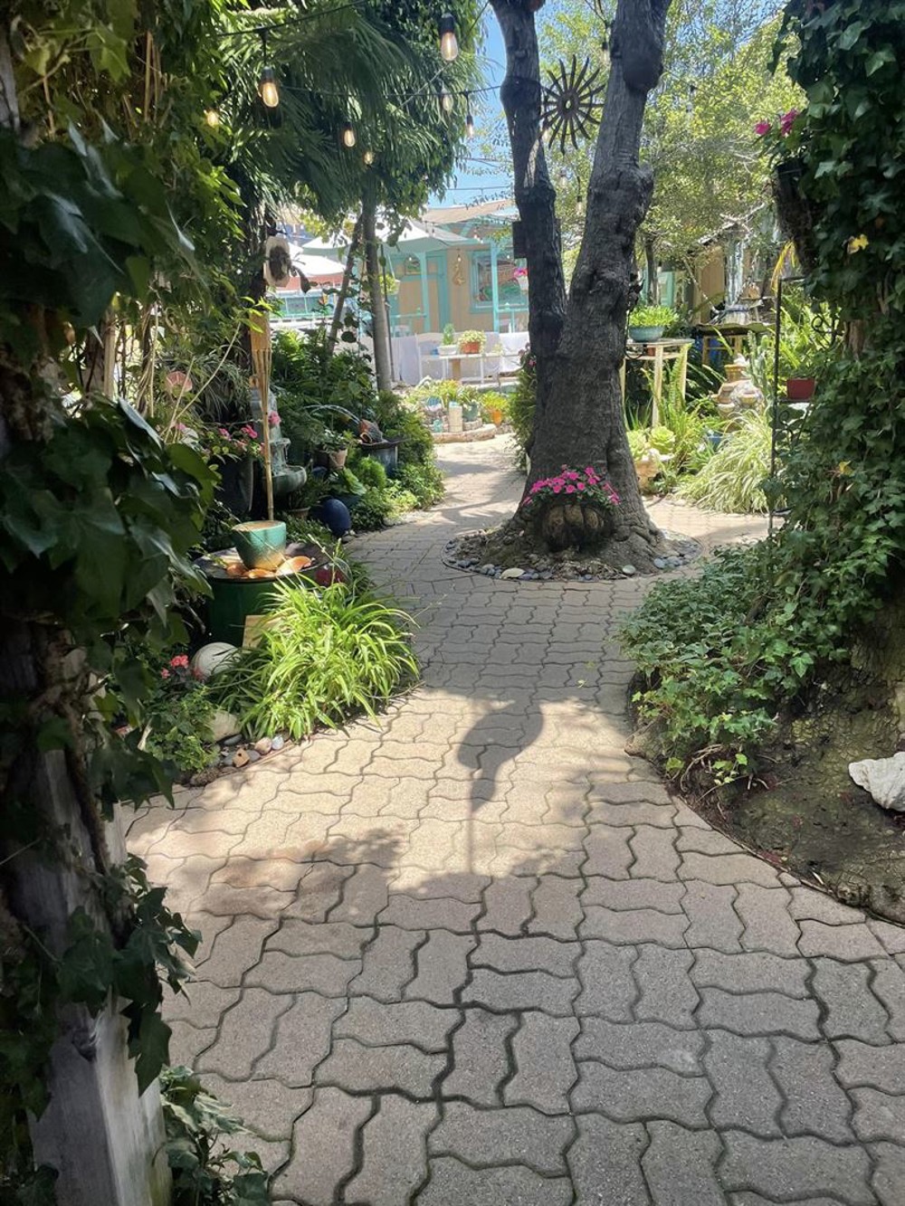 Venue photo 19