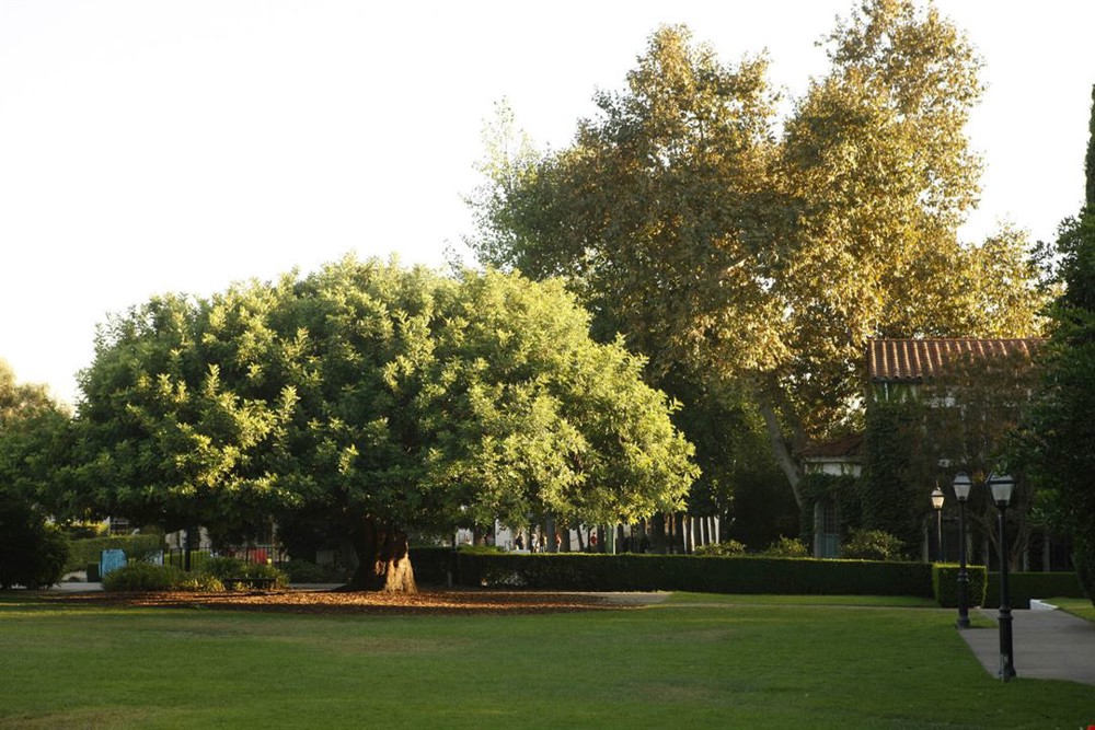Venue photo 7