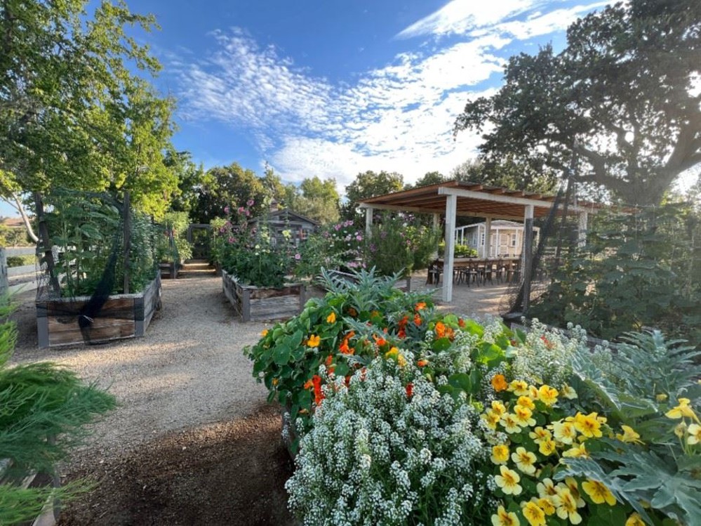 Venue photo 9