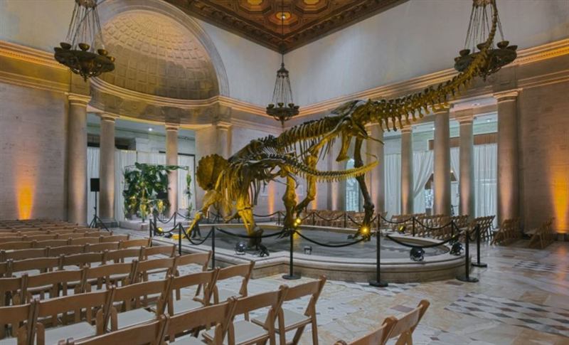 Natural History Museum of Los Angeles County museums & galleries / event centers in Los Angeles, CA photo