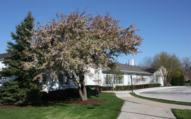 Community Center with Gym and Multipurpose Rooms for Family Events