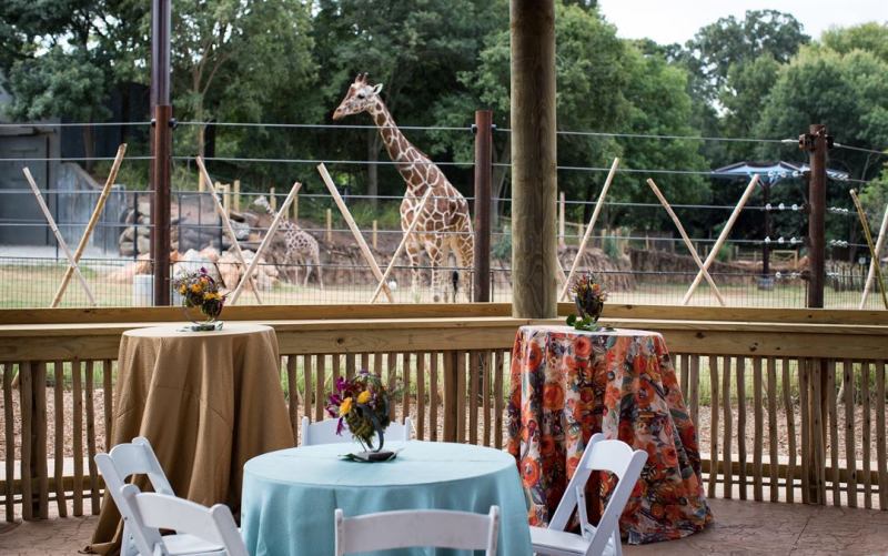Zoo Atlanta zoo and event venue in Atlanta, GA photo