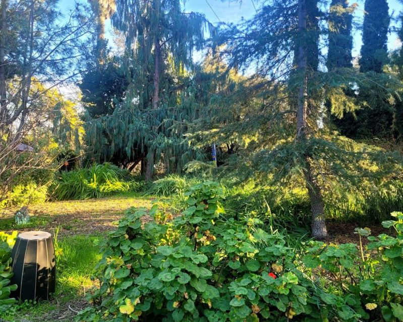 Pasadena Garden for Photos