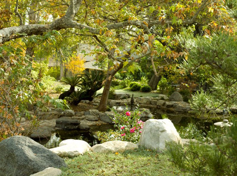Historic Japanese Garden in Pasadena
