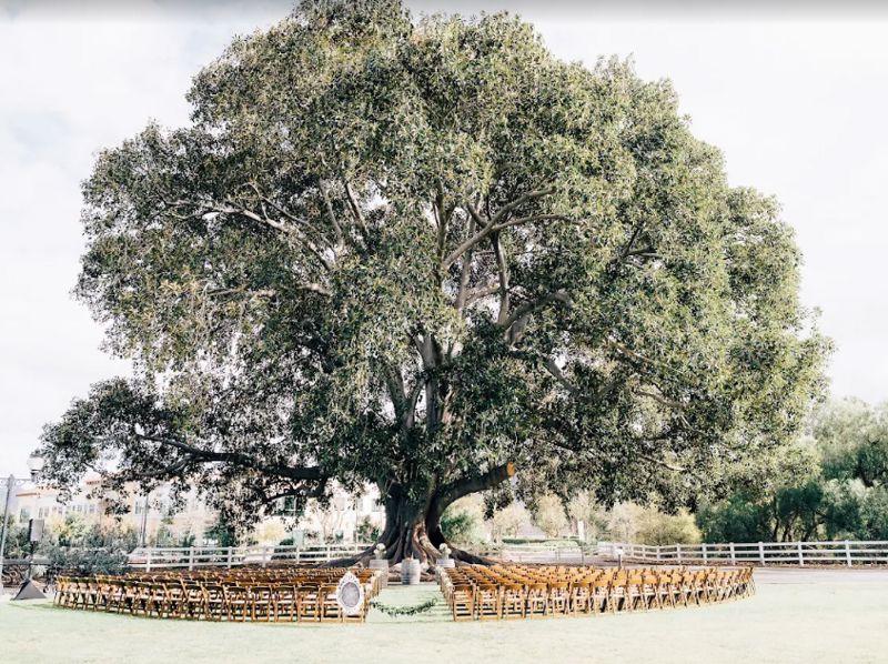 Historic Ranch Venue With Red Barn and Gardens