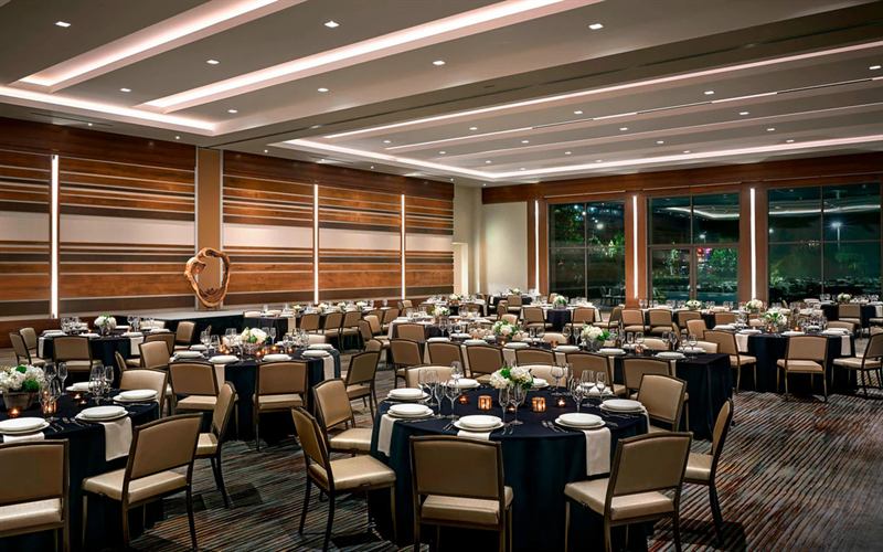 Upscale Hotel Venue with Ballroom, Event Lawn, and Rooftop Bar