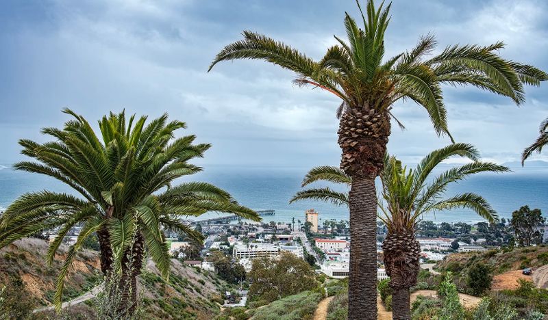 Coastal Ventura Garden Venue with Ocean Views and Event Space