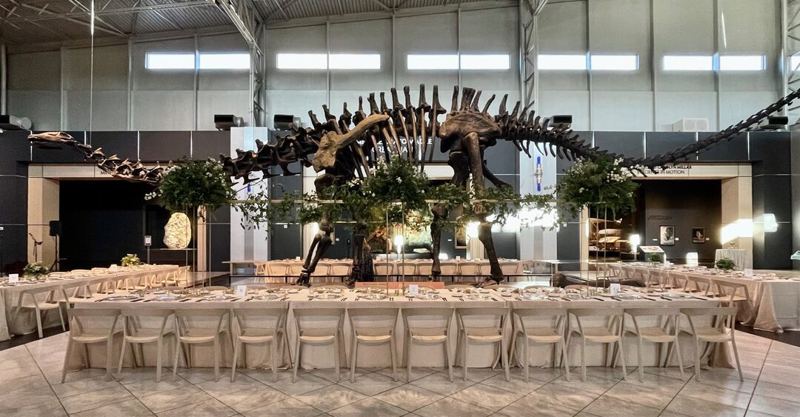 Distinctive Museum Event Spaces for Receptions, Meetings and Celebrations in Cartersville, GA