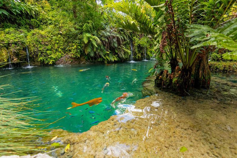 Twenty-acre Forest Sanctuary for Retreats, Weddings and Outdoor Events