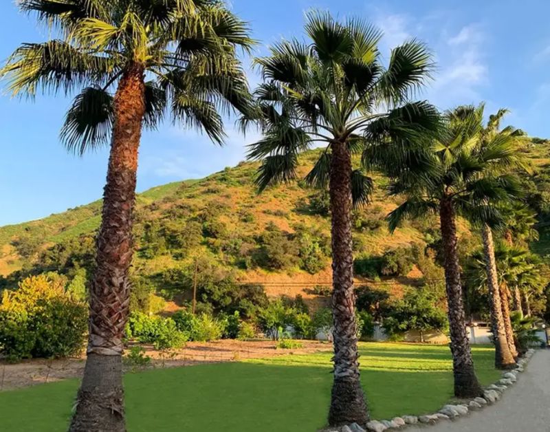 10-acre Movie Ranch and Event Venue in Sun Valley