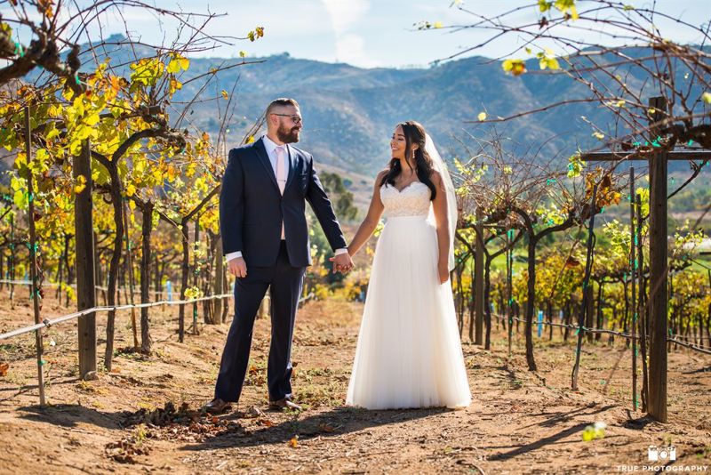 Orfila Vineyards & Winery