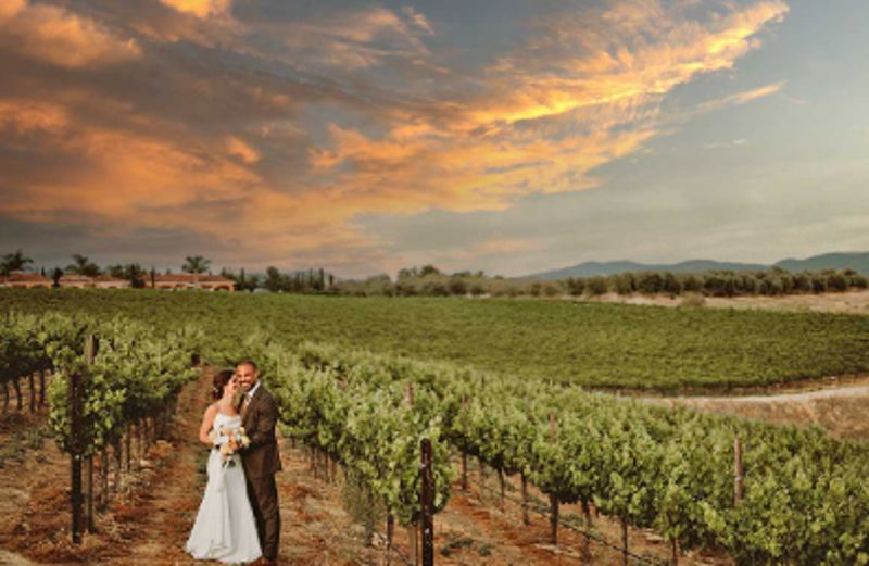 Private Hilltop Winery Estate with Wedding Decks and Vineyard Views