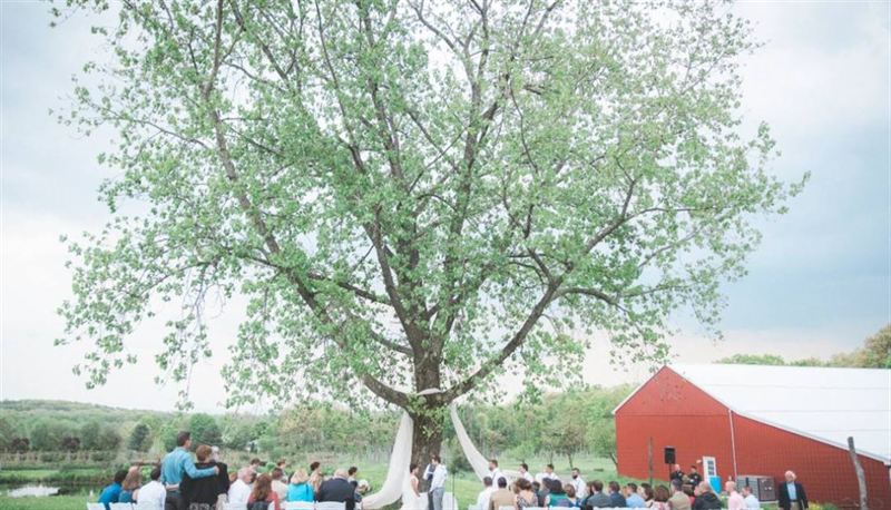 Hudson Valley Cider Orchard With Loft and Farm Setting
