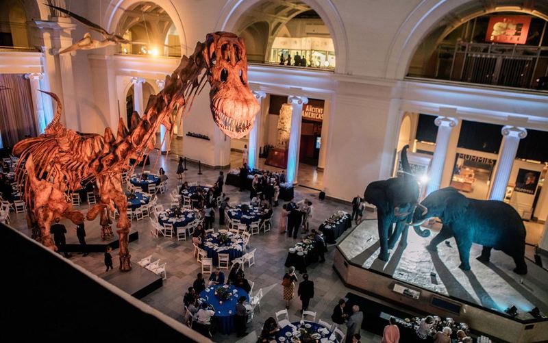 Grand Museum Halls with Monumental Architecture for Galas and Weddings