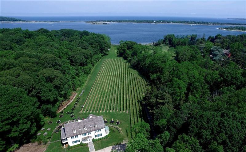 Saint James Waterfront Vineyard for Weddings, Parties and Corporate Events