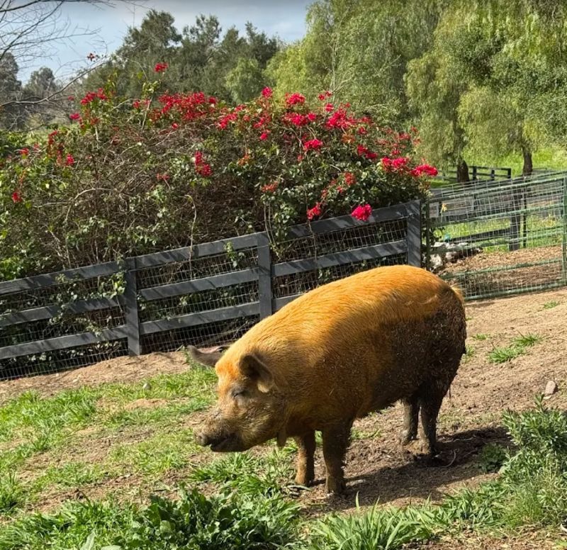 Farm Venue for Events and Productions