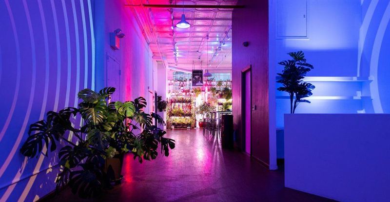 Immersive Tribeca Studio With Projection Walls and Spatial Audio