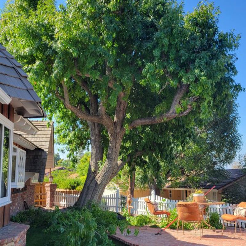 Storybook Woodland Hills Ranch House with Pool and Cathedral Ceilings