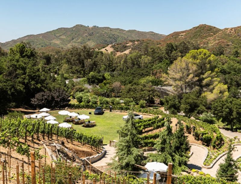 Malibu Ranch Venue With Pavilion and Vineyards