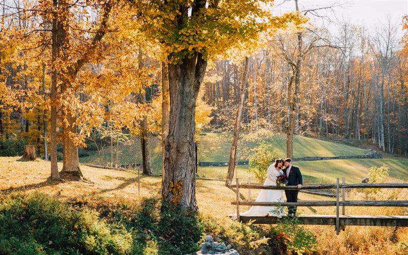Wooded Finger Lakes Retreat With Pavilion, Suites and Event Grounds